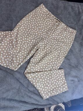 Ann Taylor Beige Polka Dot Straight Leg Jeans
